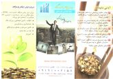 خدمات مالی و حسابداری